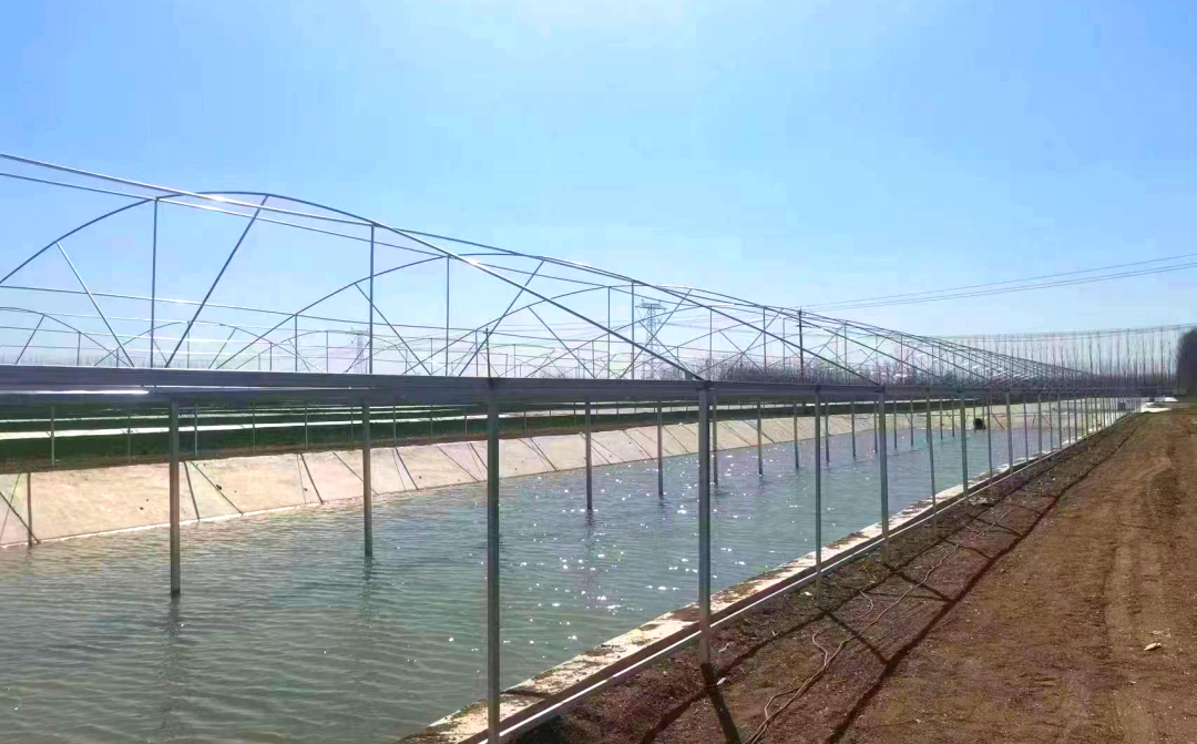 魚蝦養(yǎng)殖中，有毒氣體產生的原因和危害